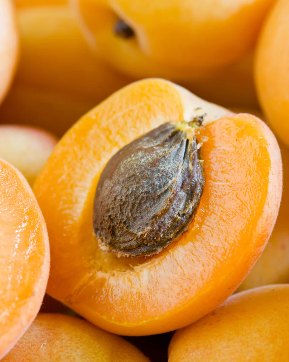 Pruna - Aprikosenkernöl für fahle Haut