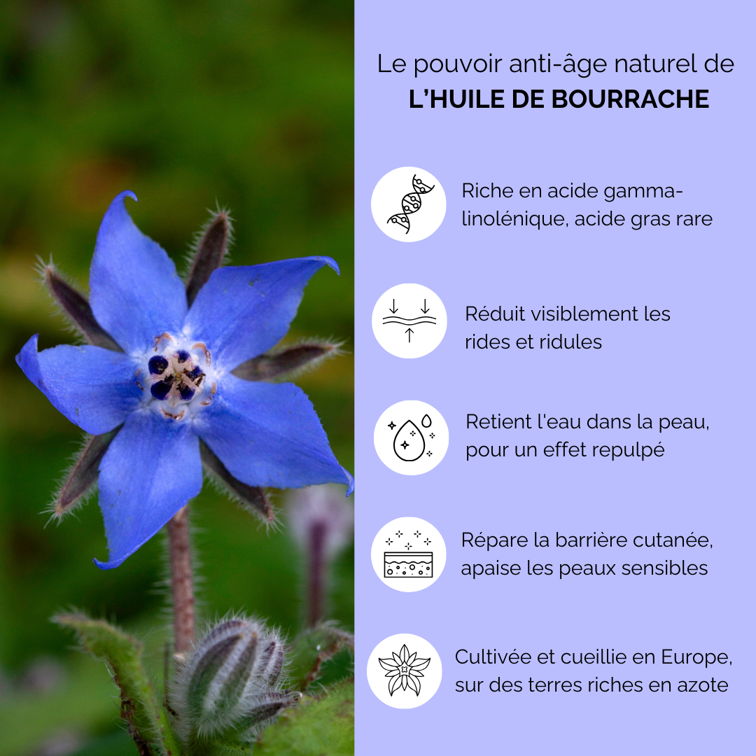 Sérum anti-âge à l'huile de bourrache